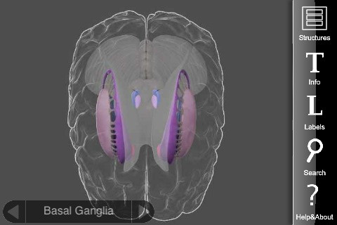 The 3D Brain app showing a detail-view of the Basal Ganglia.