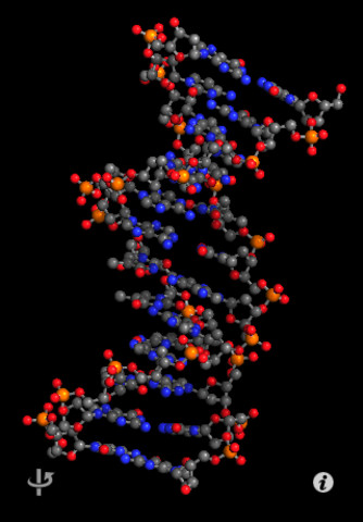 The Molecules app showing a molecule