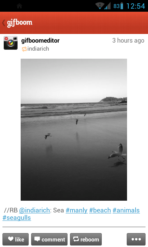 GifBoom animated GIF browser