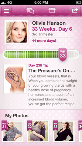 BabyBump Pro pregnancy dashboard