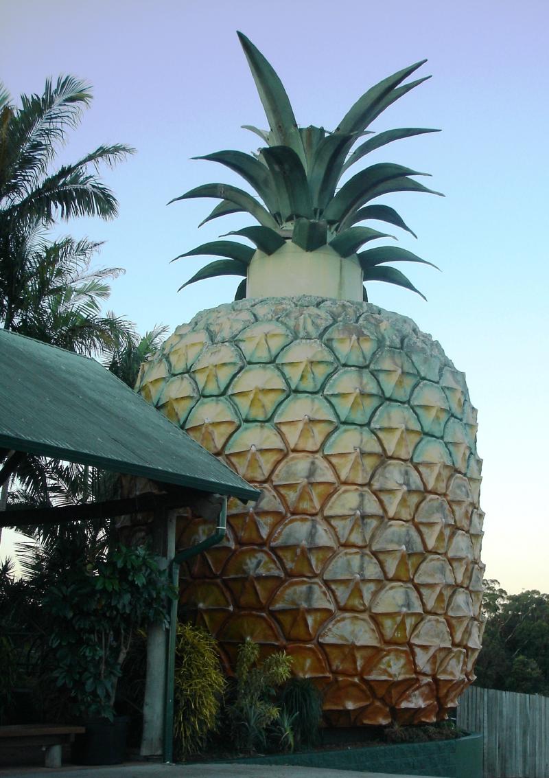 Diablo III listed as Big Pineapple on a Chinese online marketplace