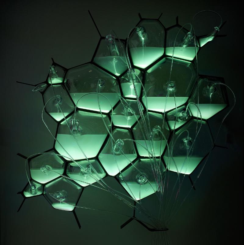 Philips bioluminescent bacterial lamp concept